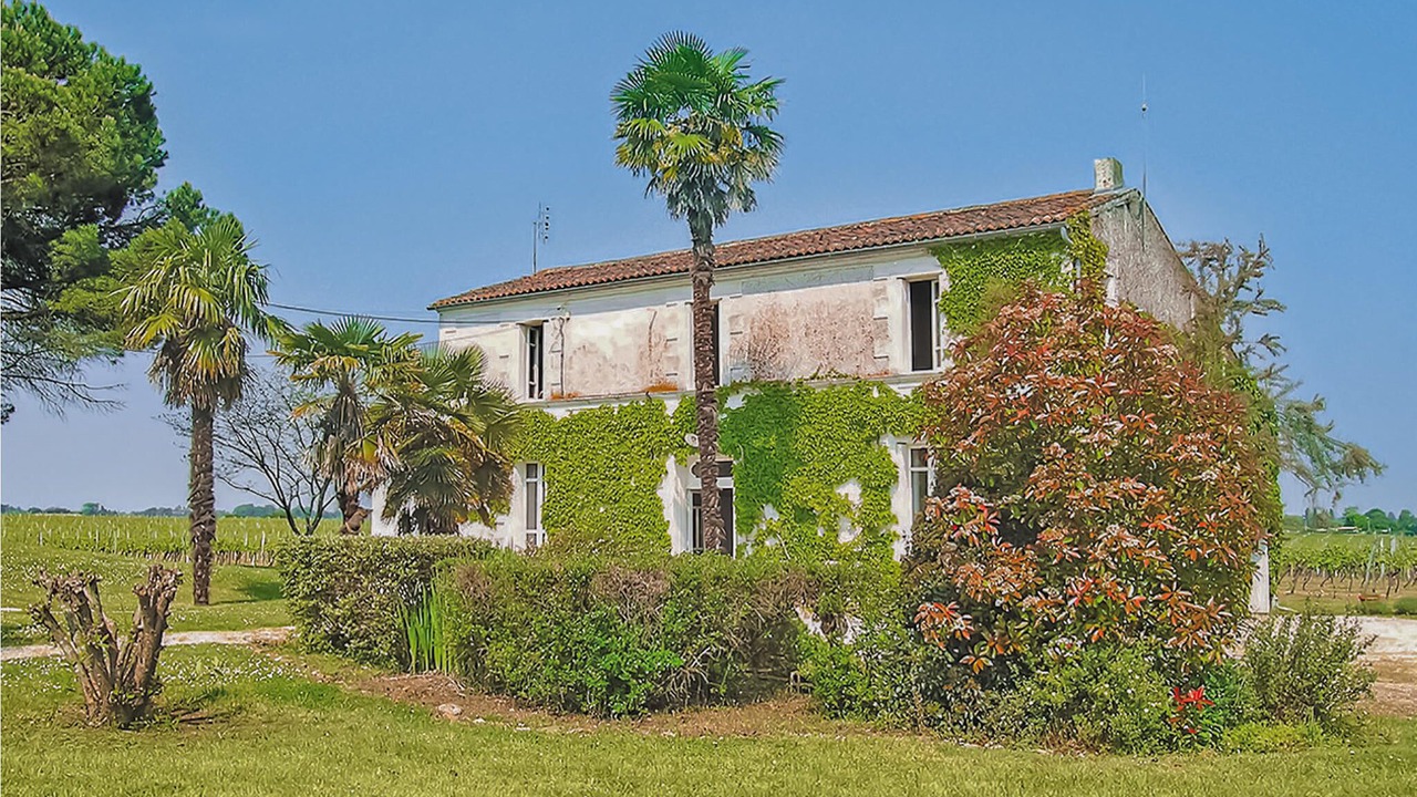 Photo of Outdoor in Saint-Andre-de-Lidon