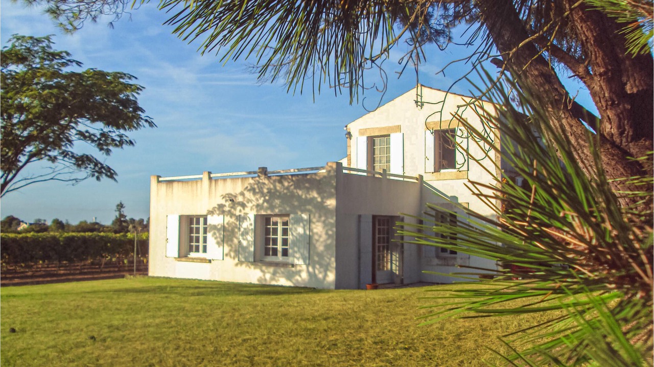 Photo of Outdoor in Saint-Andre-de-Lidon