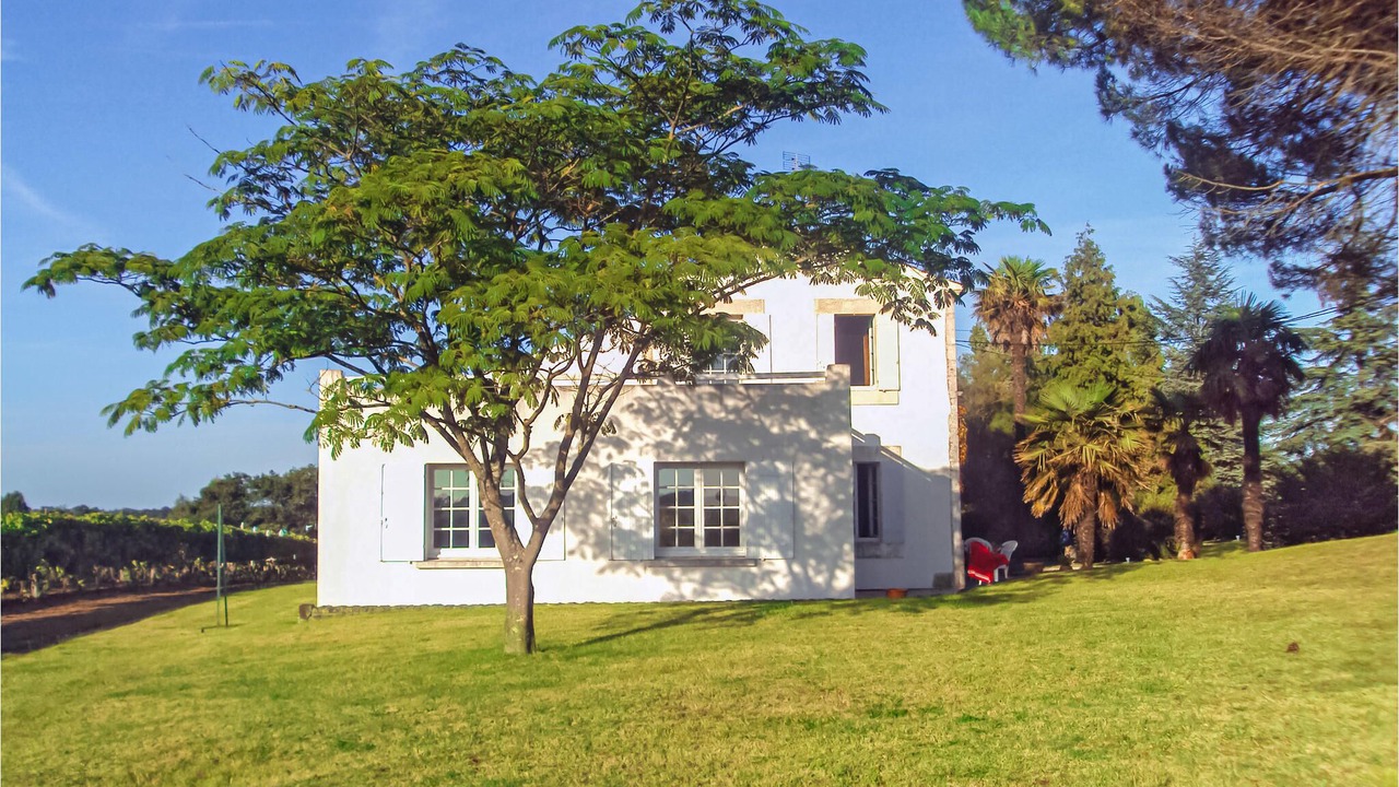 Photo of Outdoor in Saint-Andre-de-Lidon