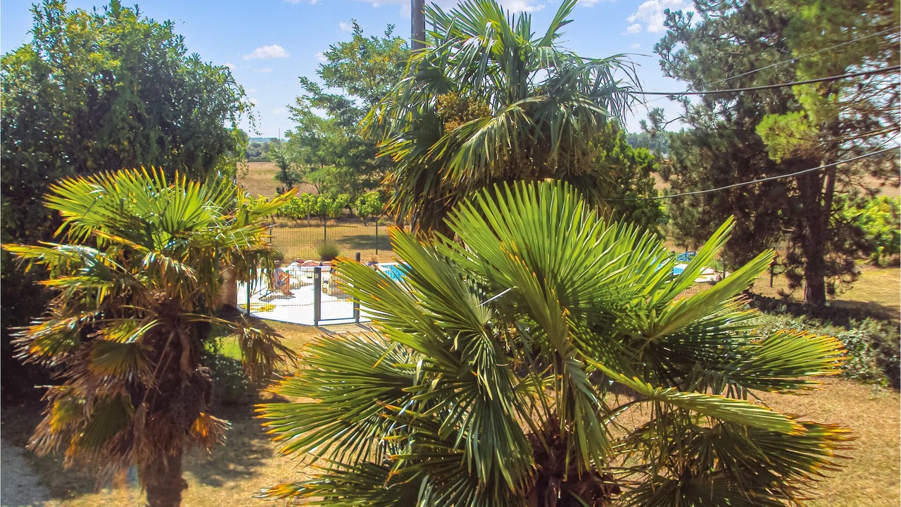 Photo of Outdoor in Saint-Andre-de-Lidon