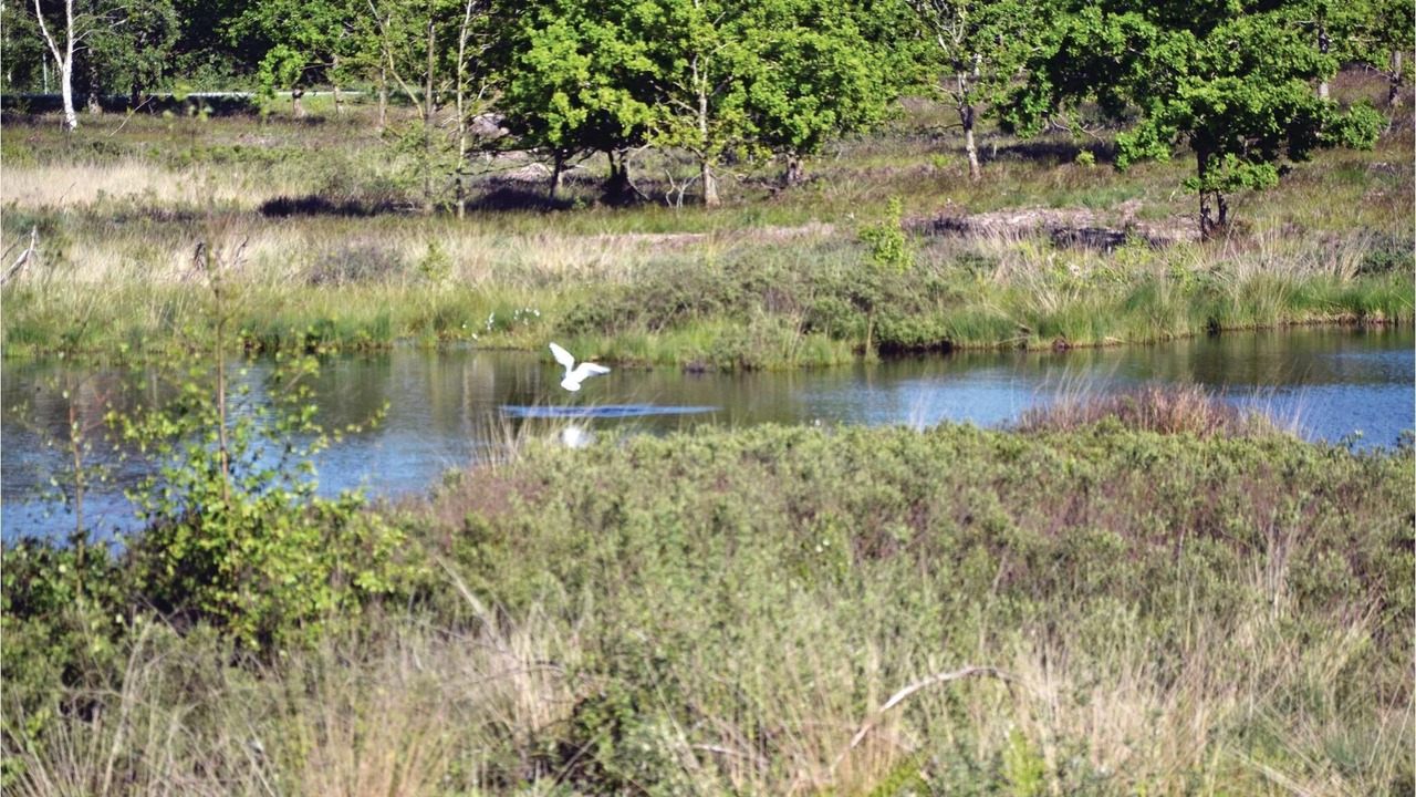 Photo of Outdoor in Ertebølle
