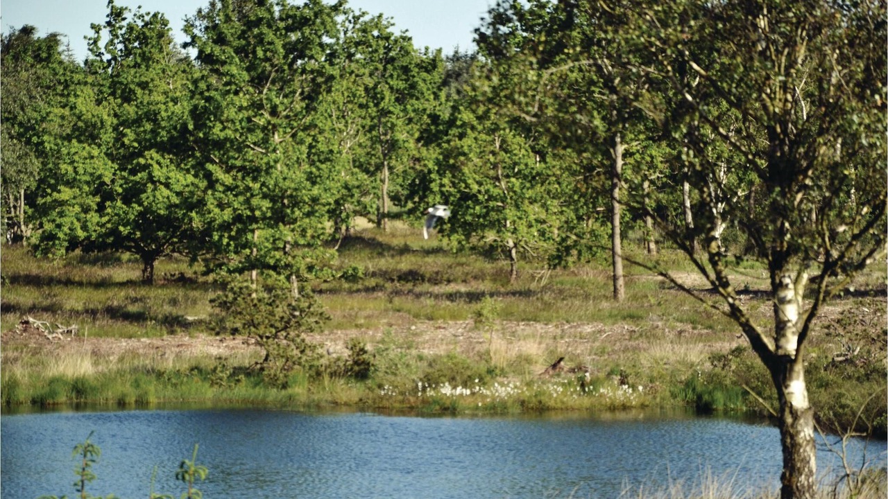 Photo of Outdoor in Ertebølle