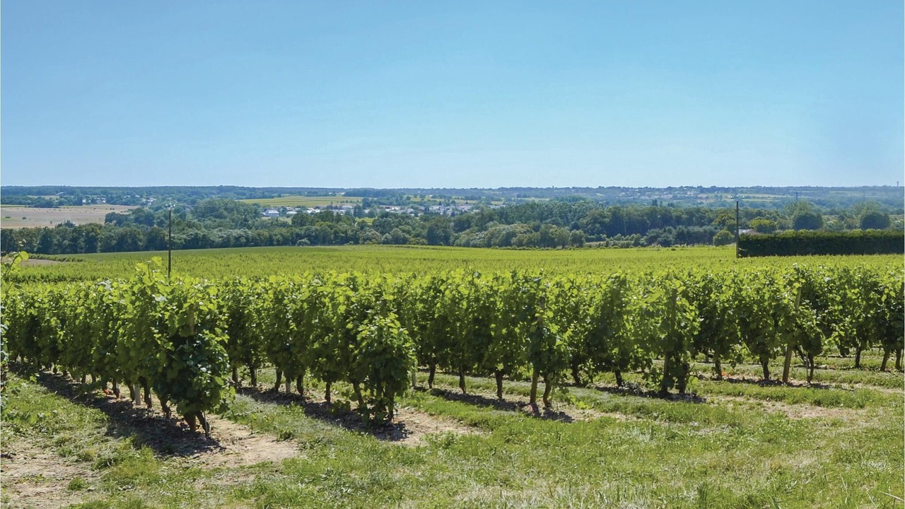 Photo of Outdoor in Saint-Jean-des-Mauvrets