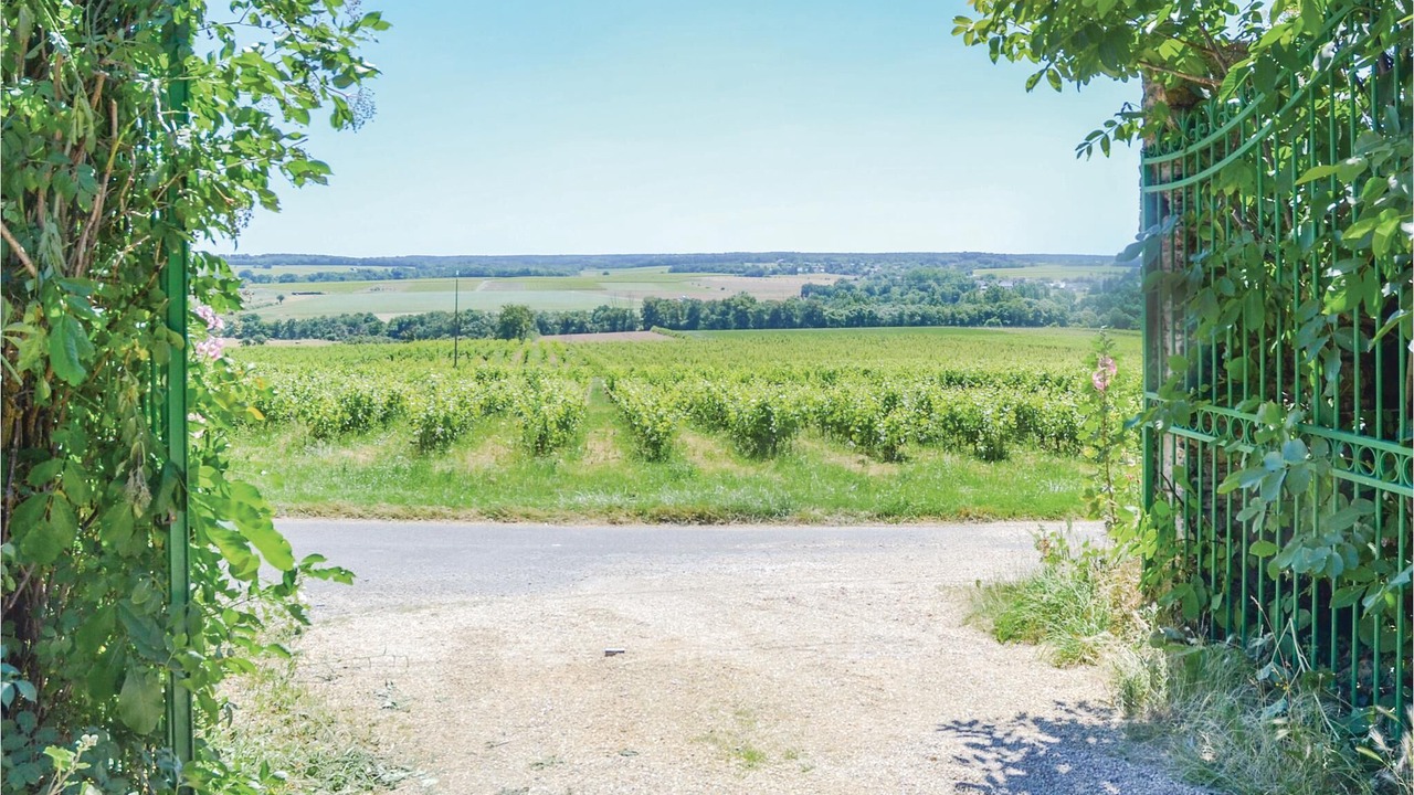 Photo of Outdoor in Saint-Jean-des-Mauvrets