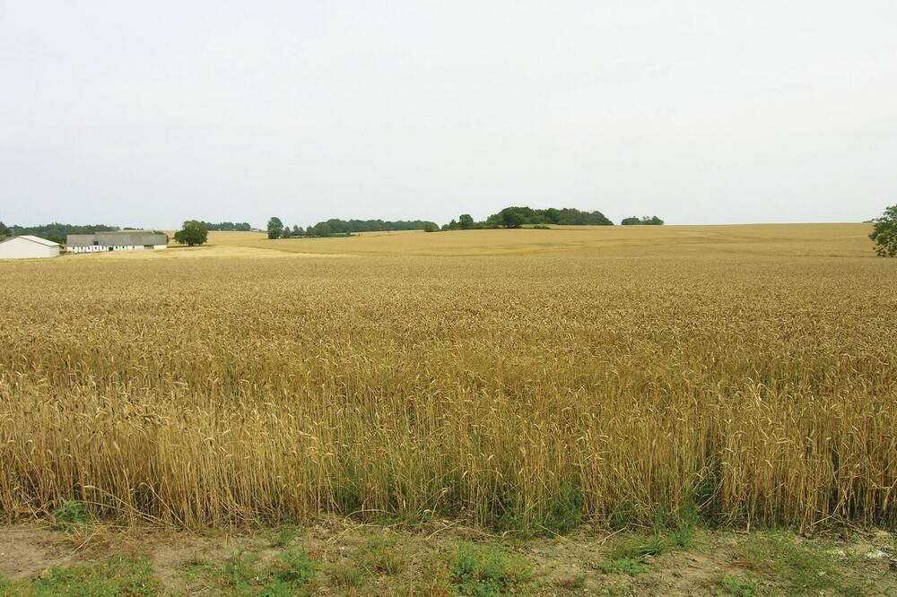 Photo of Others in Østermarie