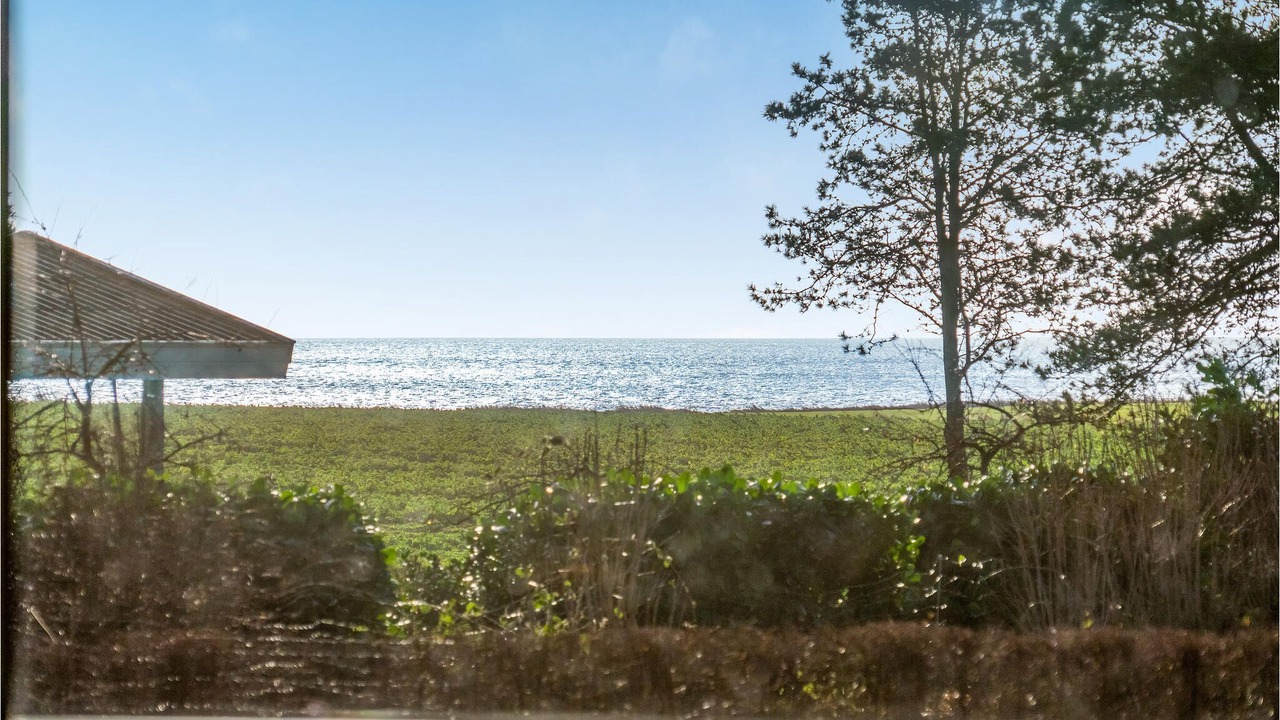 Photo of Outdoor in Østerskov