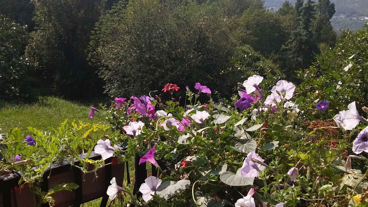 Photo of Outdoor in Bribir