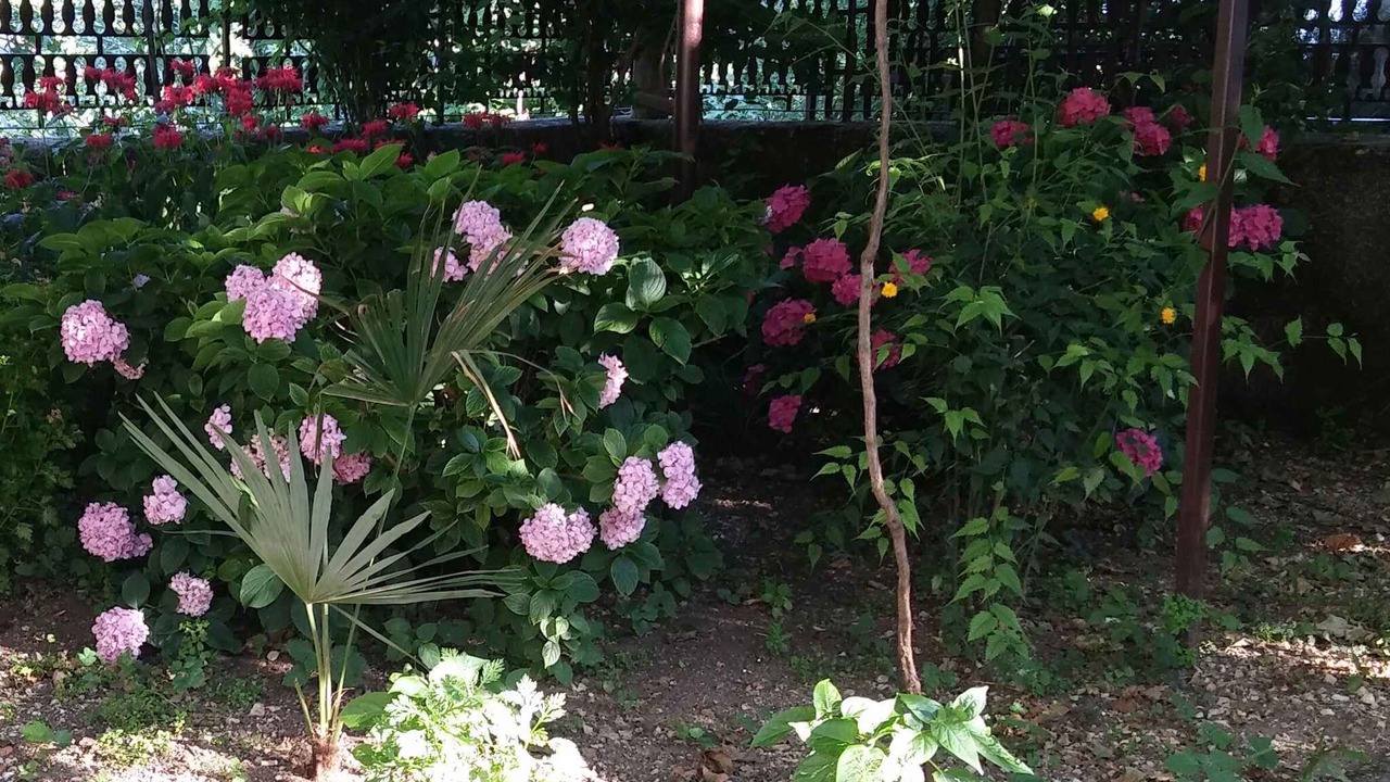 Photo of Outdoor in Bribir