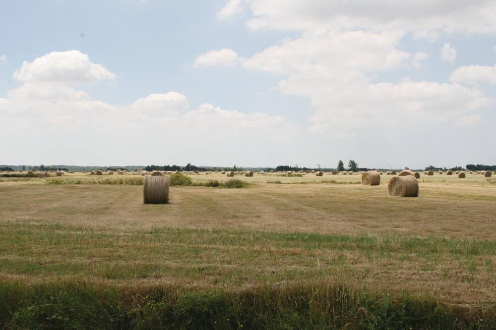 Photo of Others in Bois-de-Cene