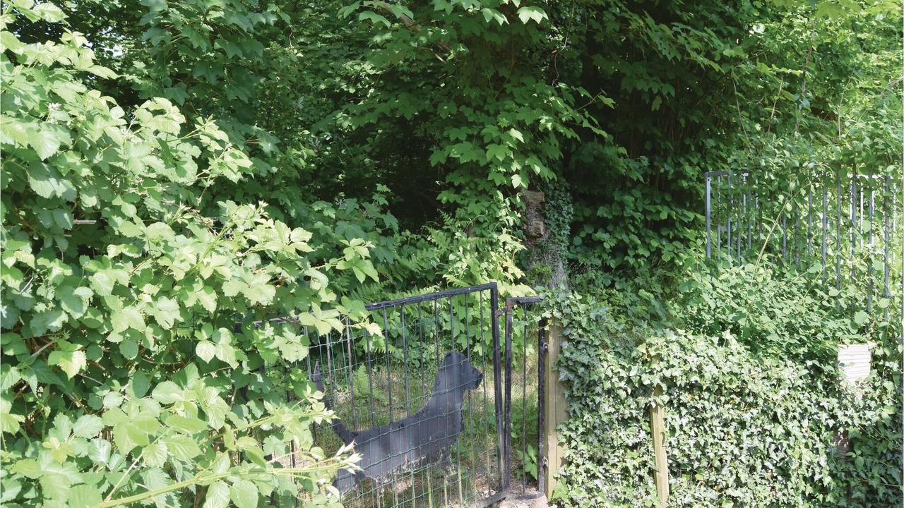 Photo of Outdoor in Hov