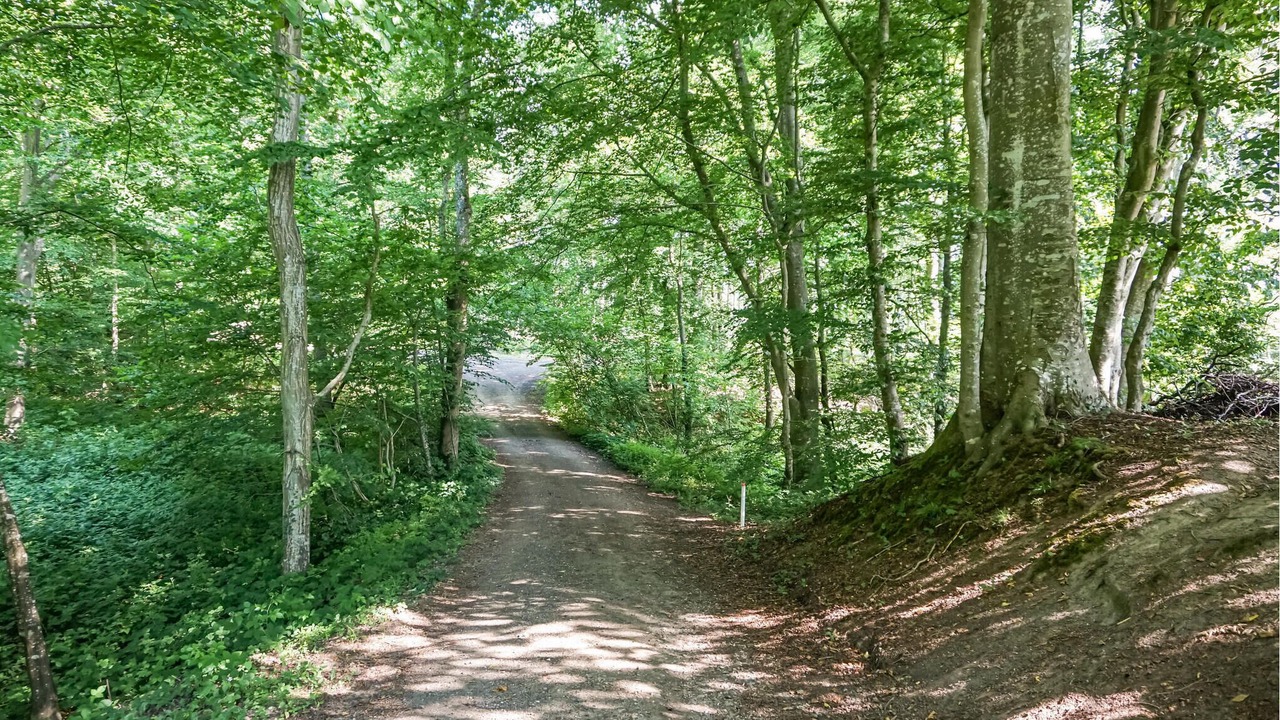 Photo of Outdoor in Bjert