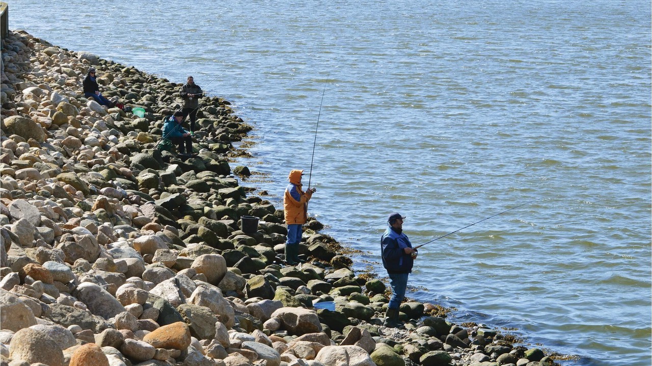 Photo of Others in Sondervig
