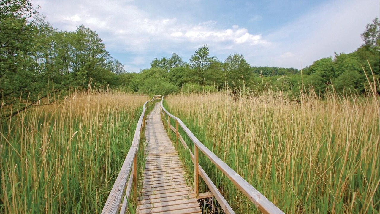 Photo of Others in Aabenraa