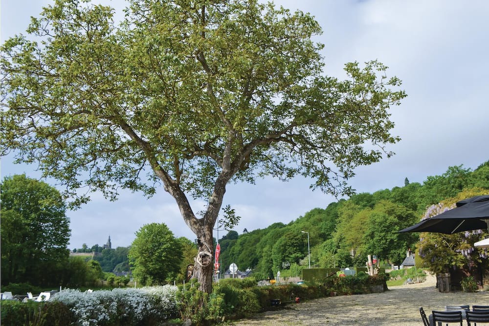 Photo of Bedroom in Taden