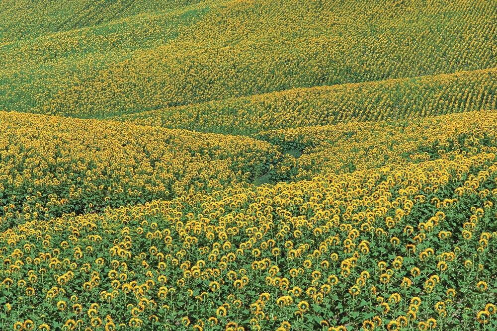 Photo of Others in Loubejac