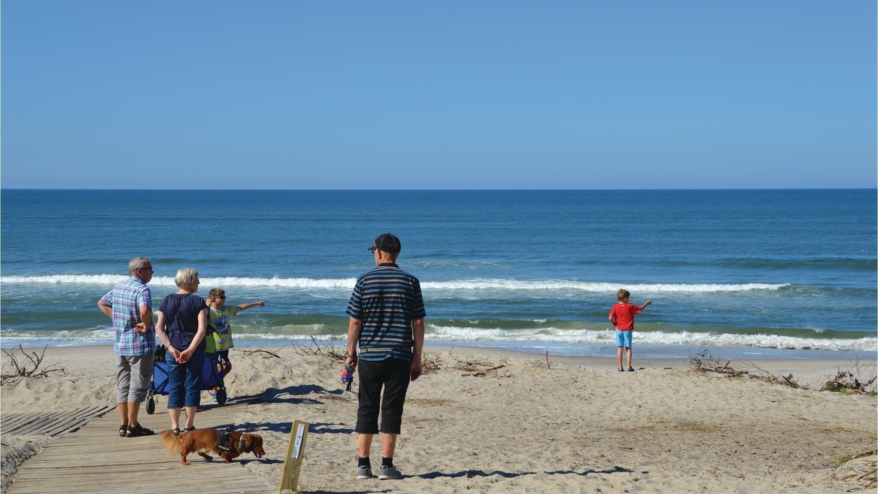 Photo of Others in Lodbjerg Hede
