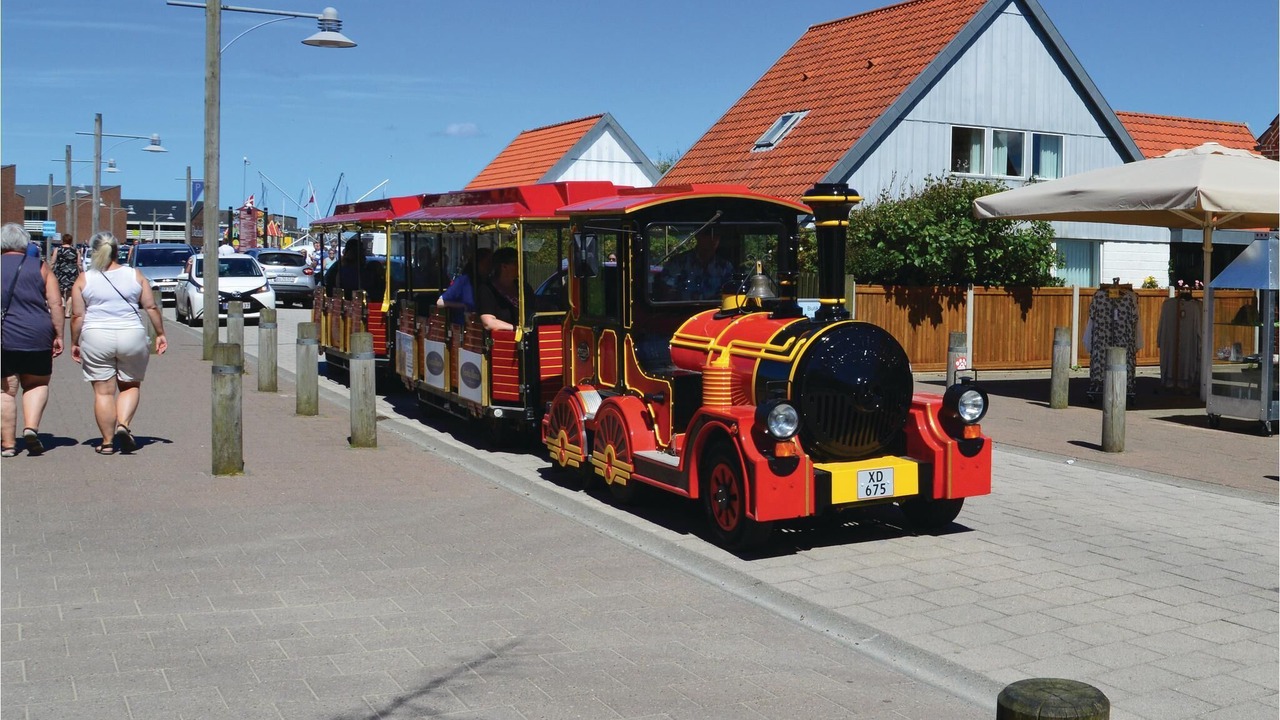 Photo of Others in Lodbjerg Hede