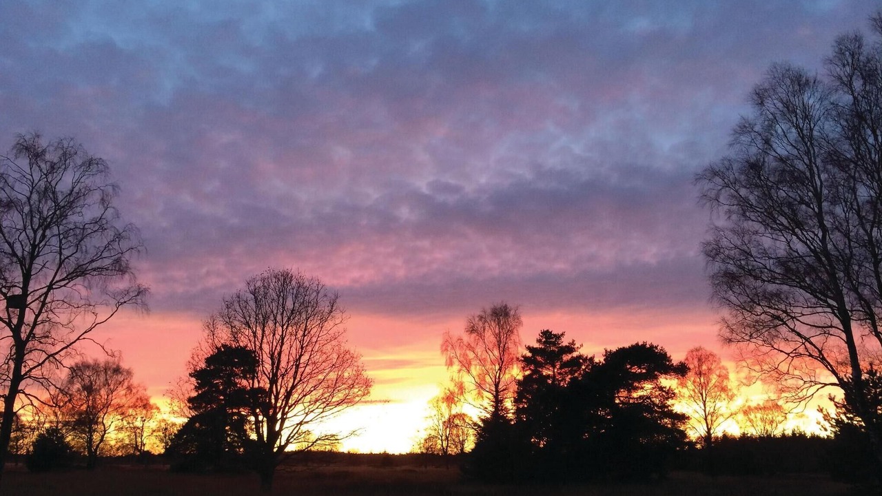 Photo of Others in Grena Strand