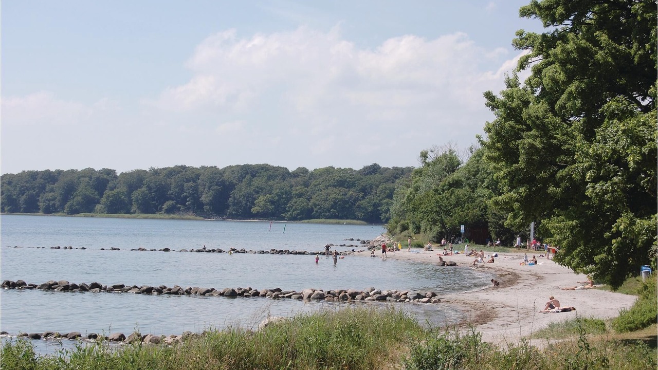 Photo of Others in Nysted