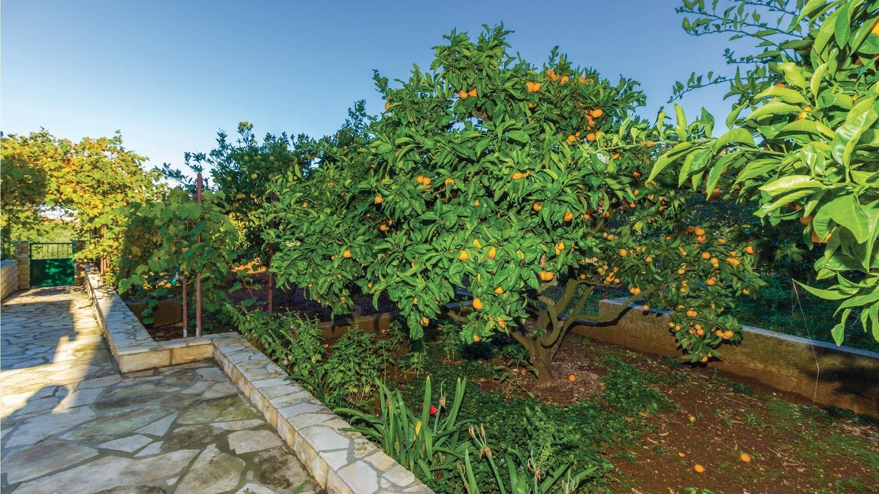 Photo of Outdoor in Kali
