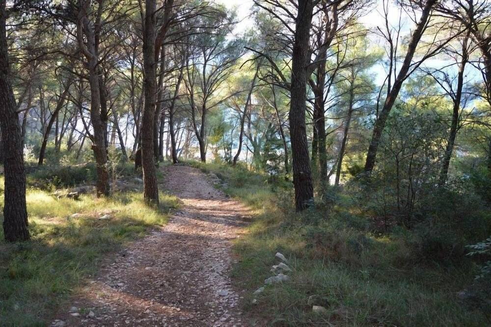 Photo of Outdoor in Okrug Donji