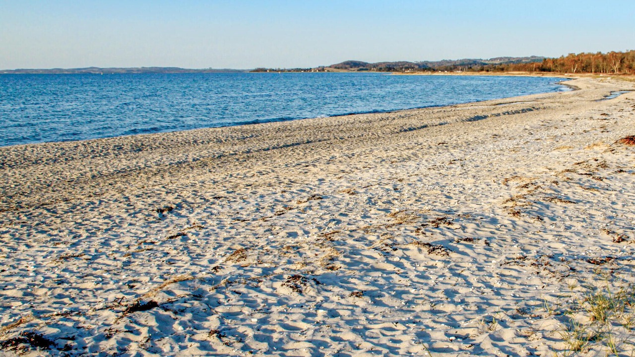 Photo of Others in Lyngsbæk Strand