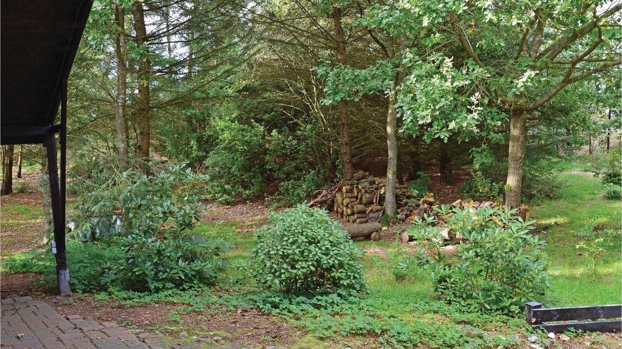 Photo of Outdoor in Tim