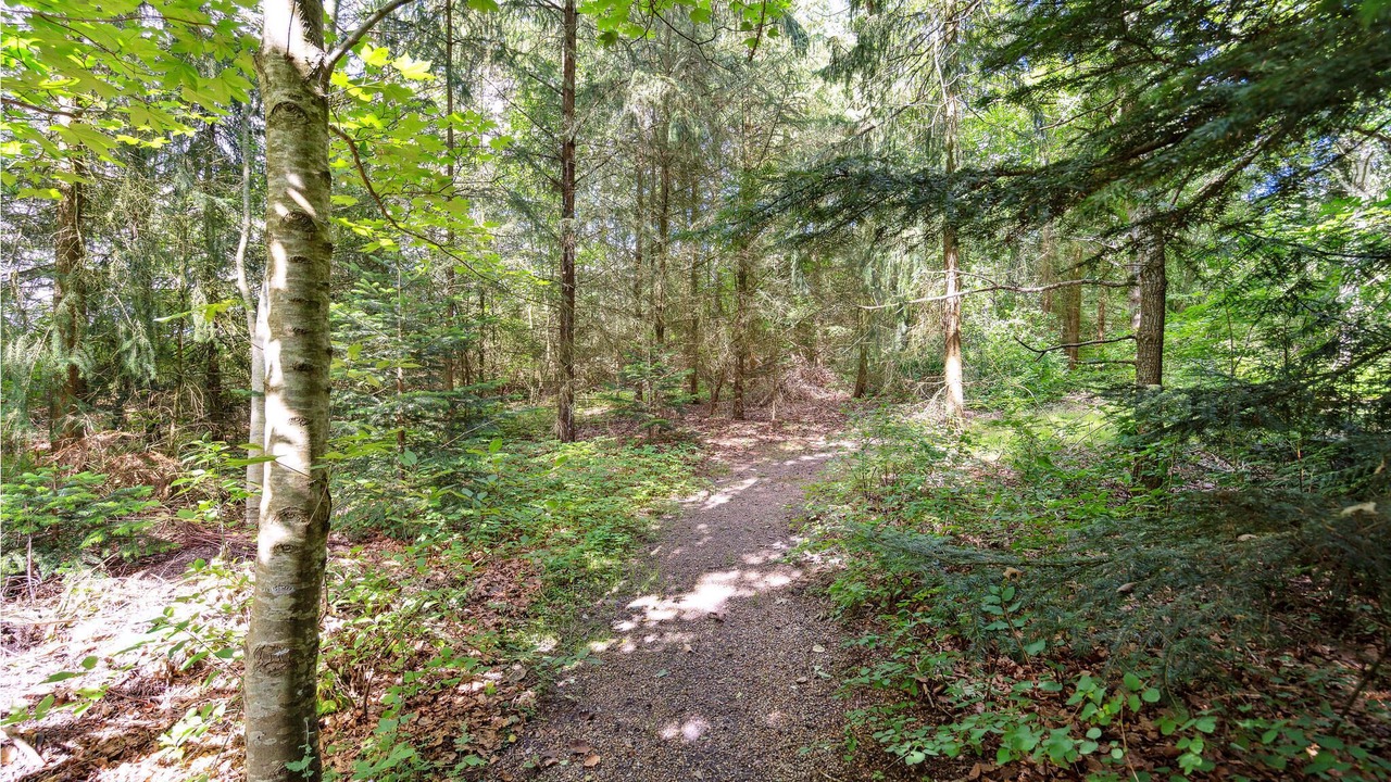 Photo of Outdoor in Tarm