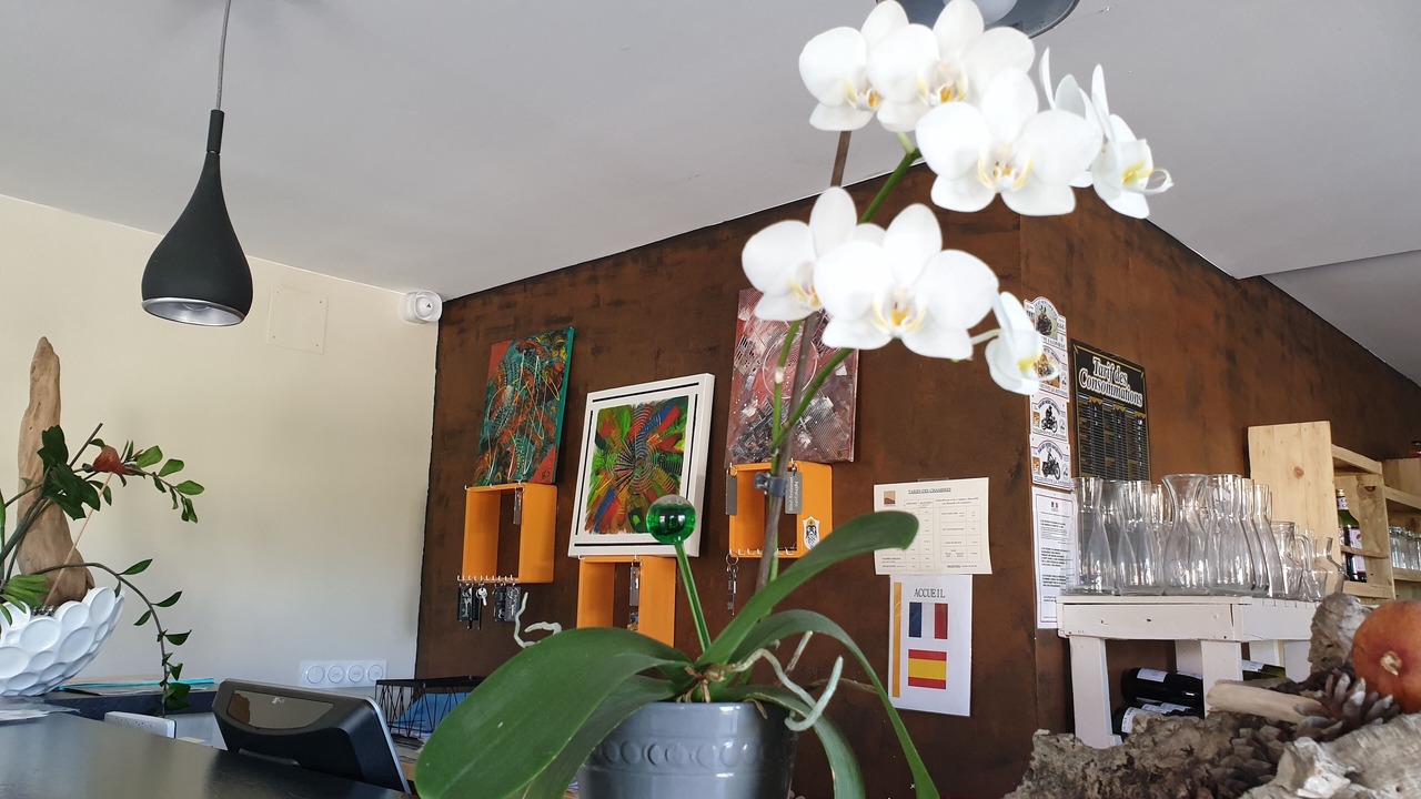 Photo of Others in Thuir