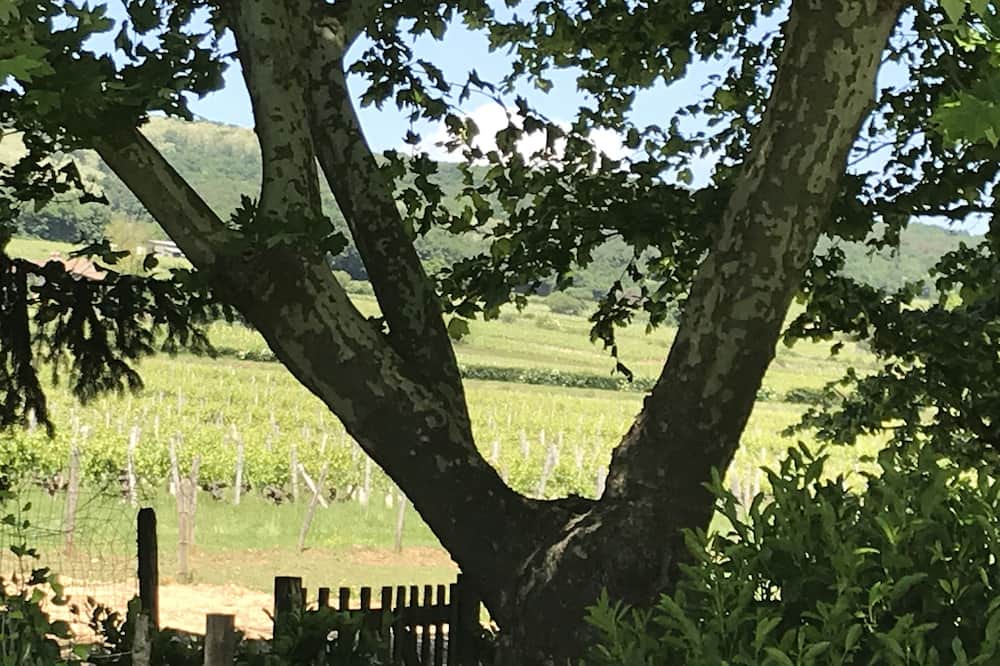 Photo of Outdoor in Saint-Gengoux-de-Scisse