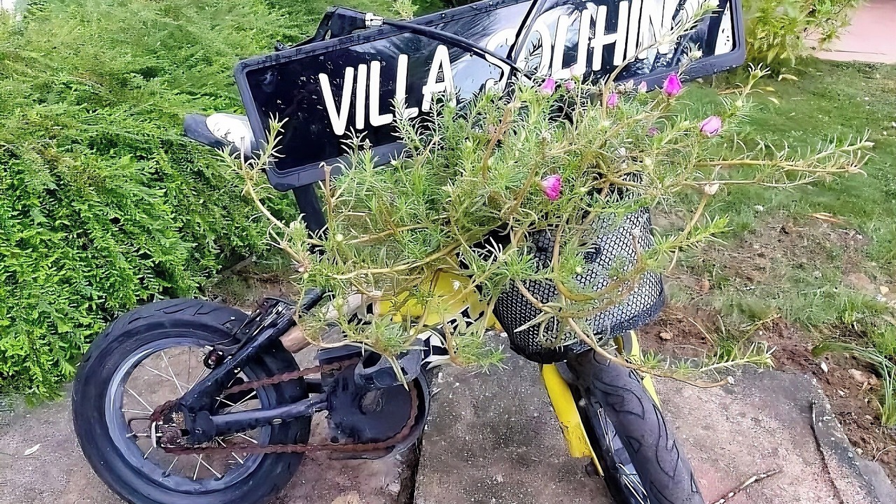 Photo of Outdoor in Sungai Buloh