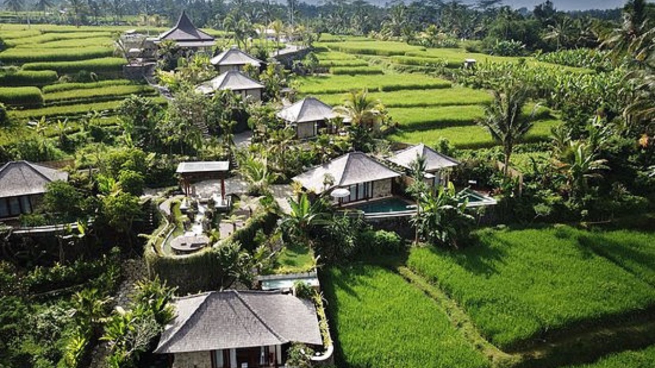 Photo of Outdoor in Sebatu