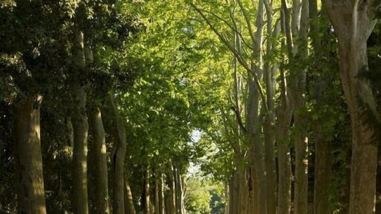 Photo of Others in Salles-d'Aude