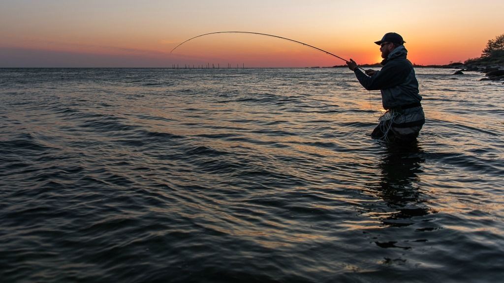 Photo of Outdoor in Stoense