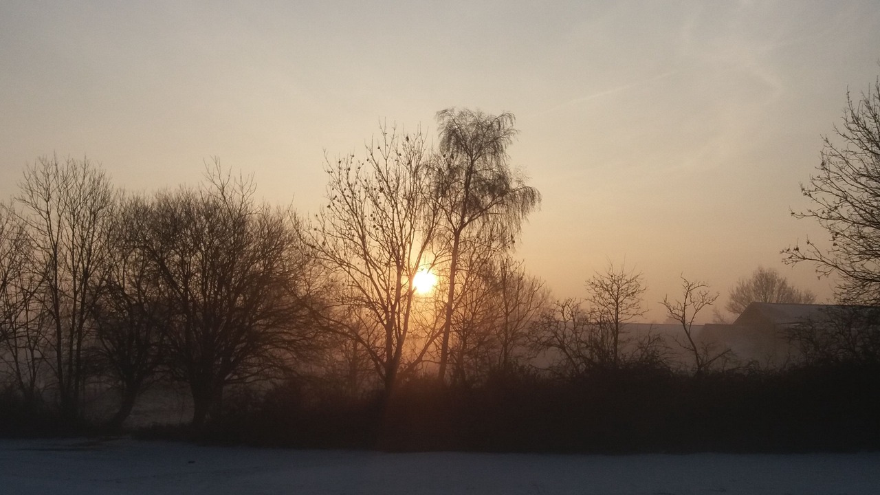 Photo of Others in Stoense