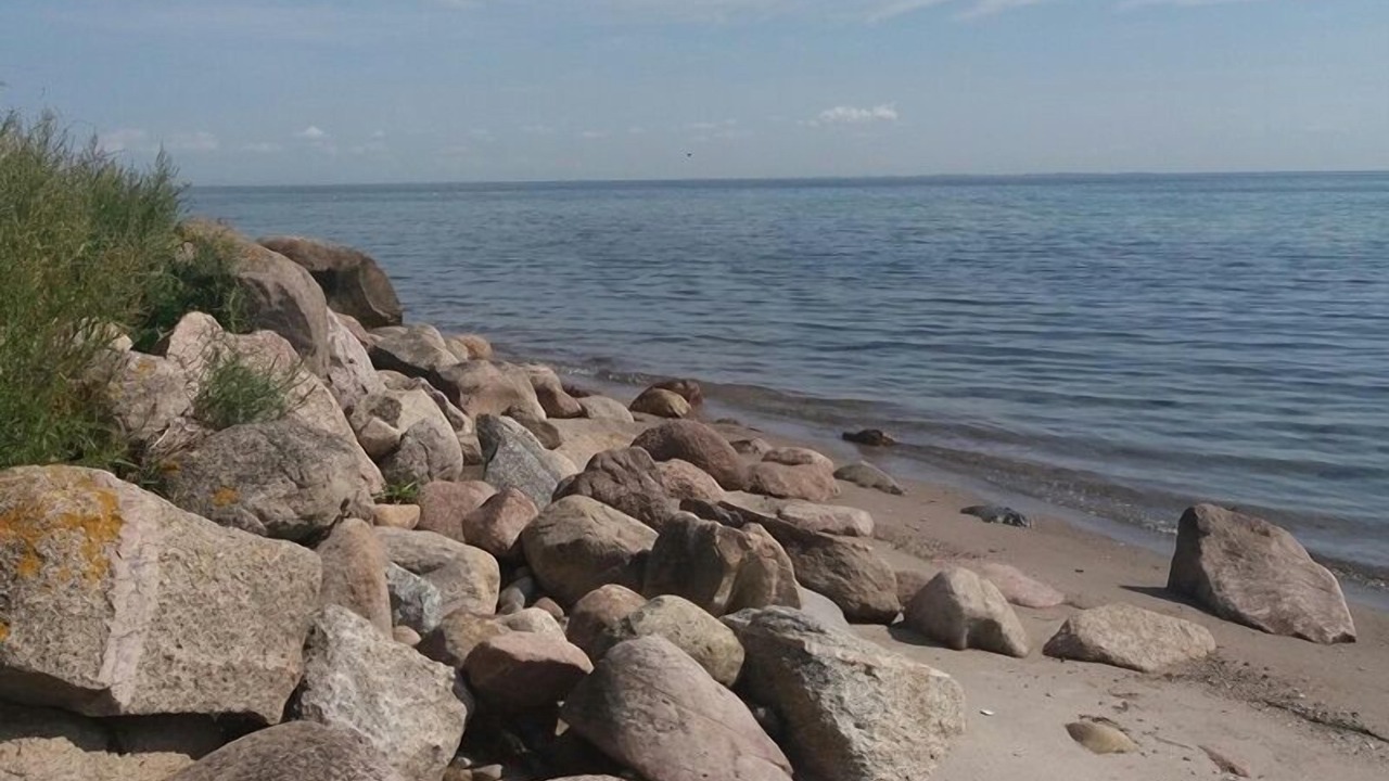 Photo of Others in Stoense