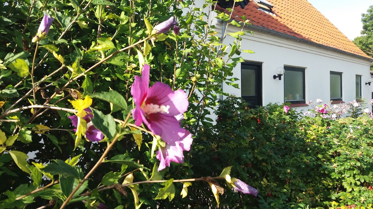 Photo of Outdoor in Stoense