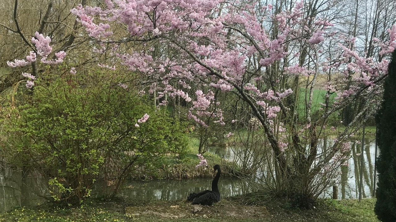 Photo of Outdoor in Luceau