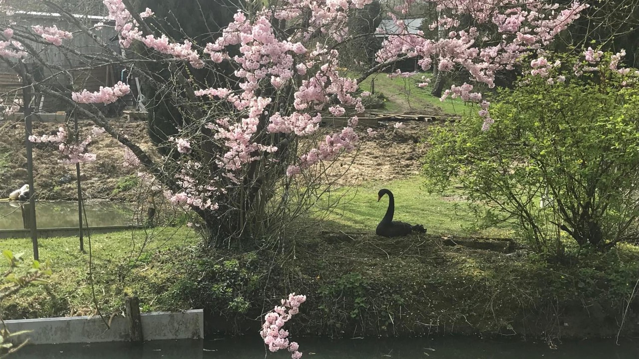 Photo of Outdoor in Luceau