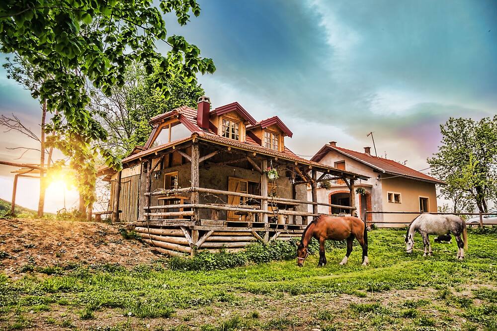 Photo of Others in Rakovica