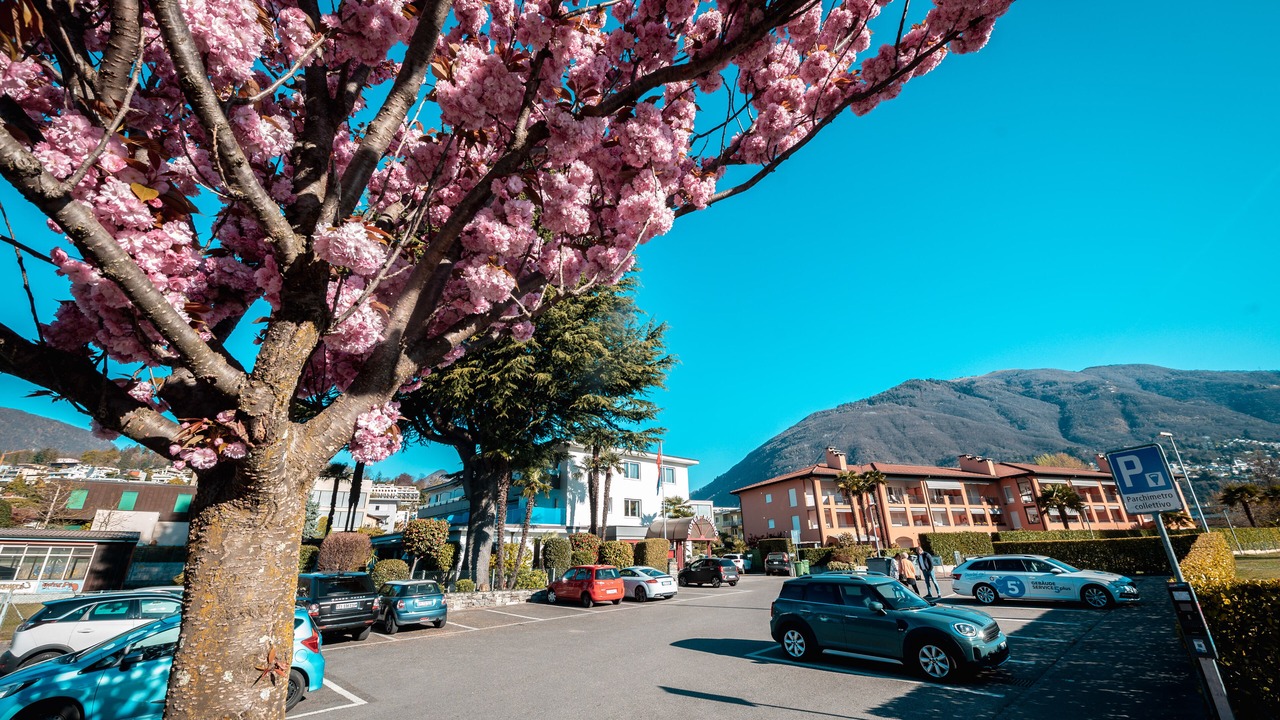 Photo of Outdoor in Ascona