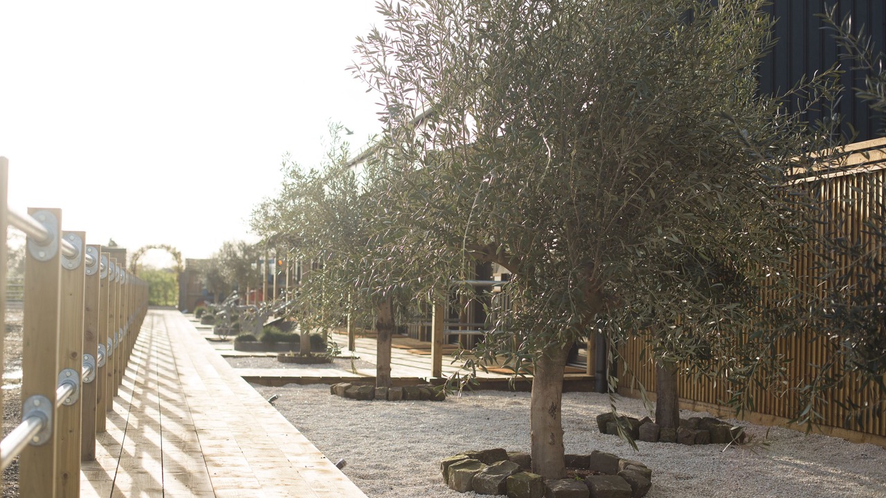 Photo of Others in Knutsford