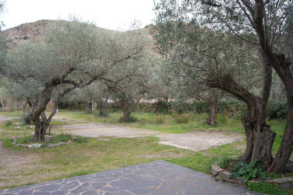 Photo of Outdoor in El Mas Oliva
