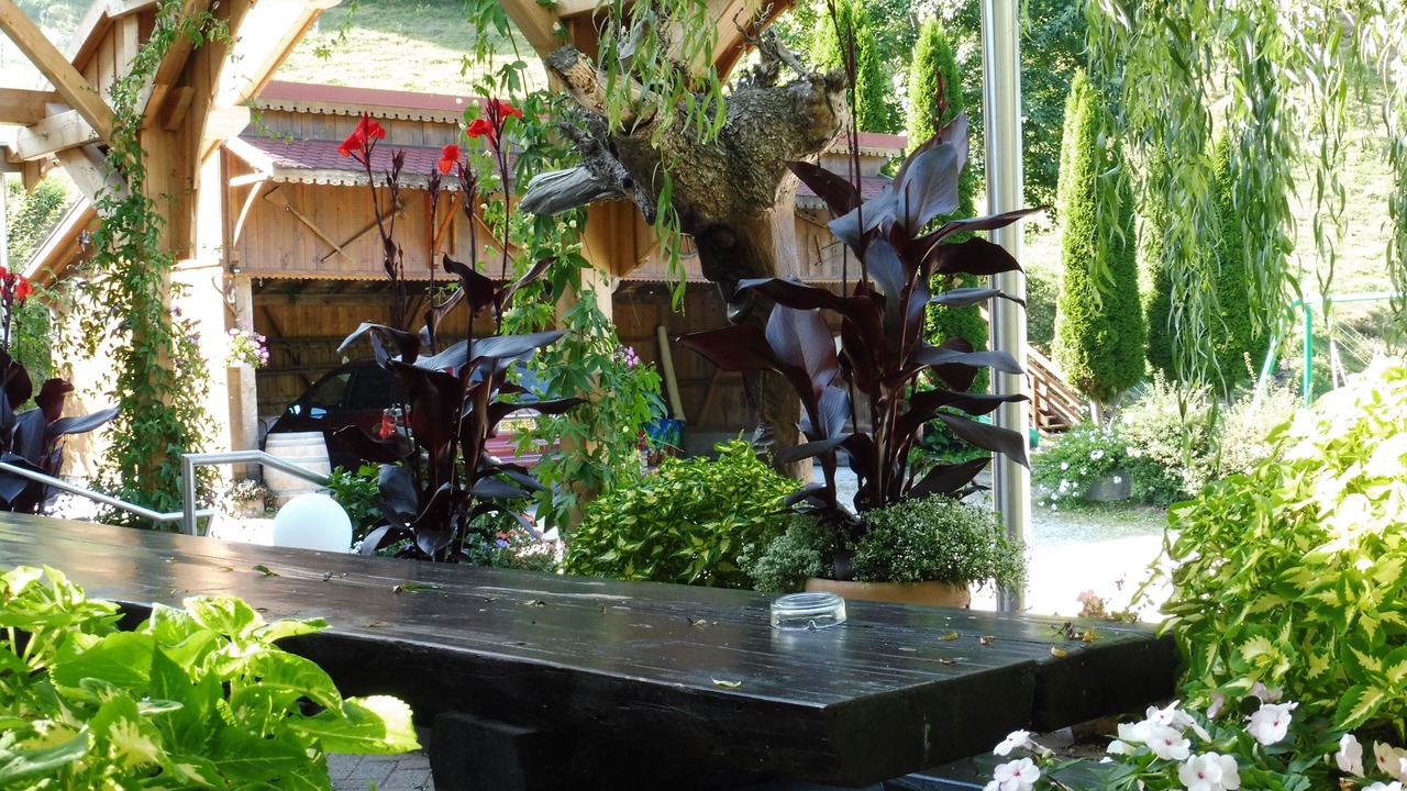 Photo of Others in Sainte-Marie-aux-Mines