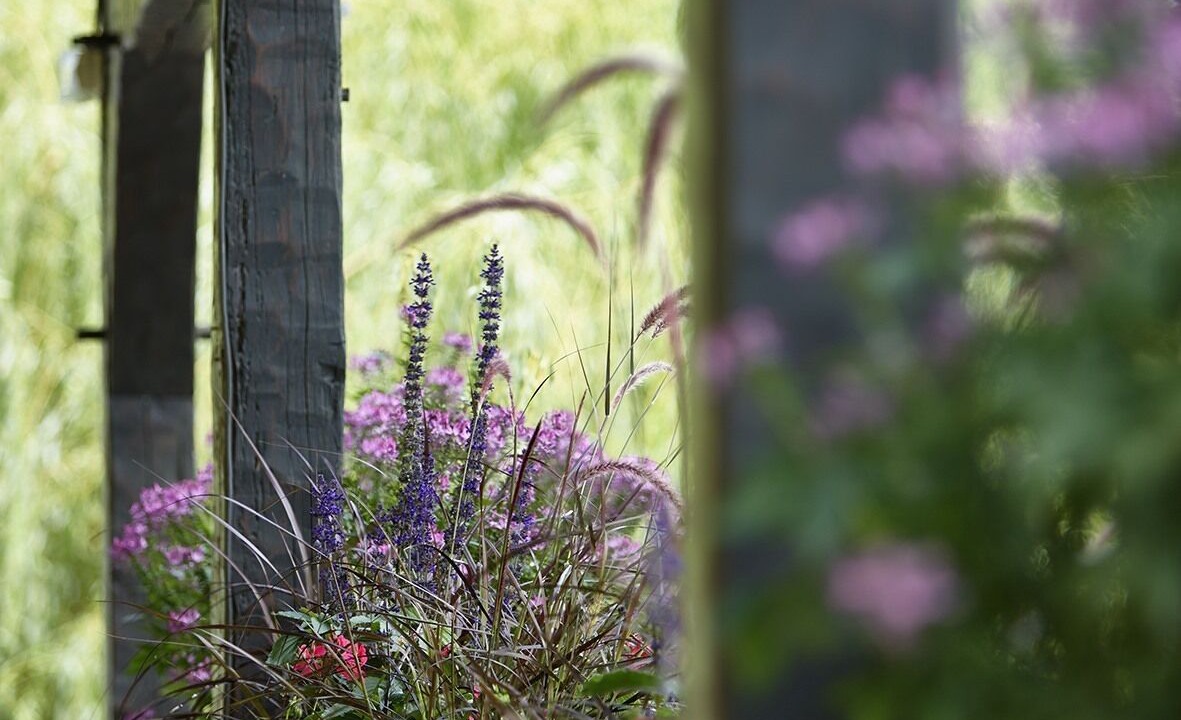 Photo of Outdoor in Sainte-Marie-aux-Mines