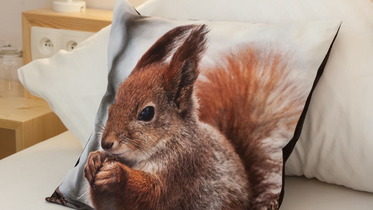 Photo of Bedroom in Sainte-Marie-aux-Mines