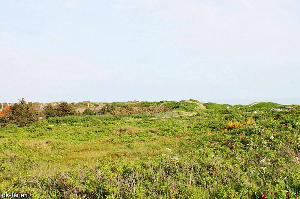 Photo of Outdoor in Ho