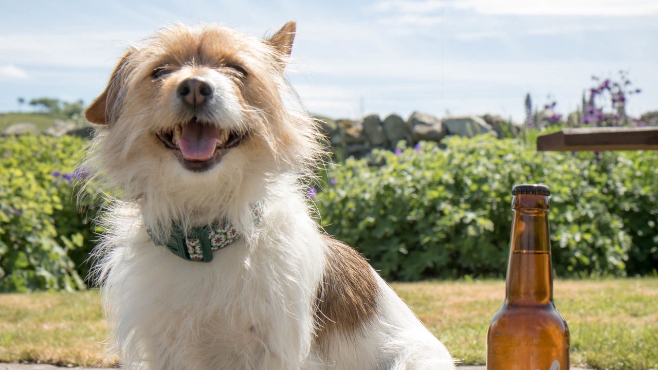 Photo of Outdoor in Morebattle