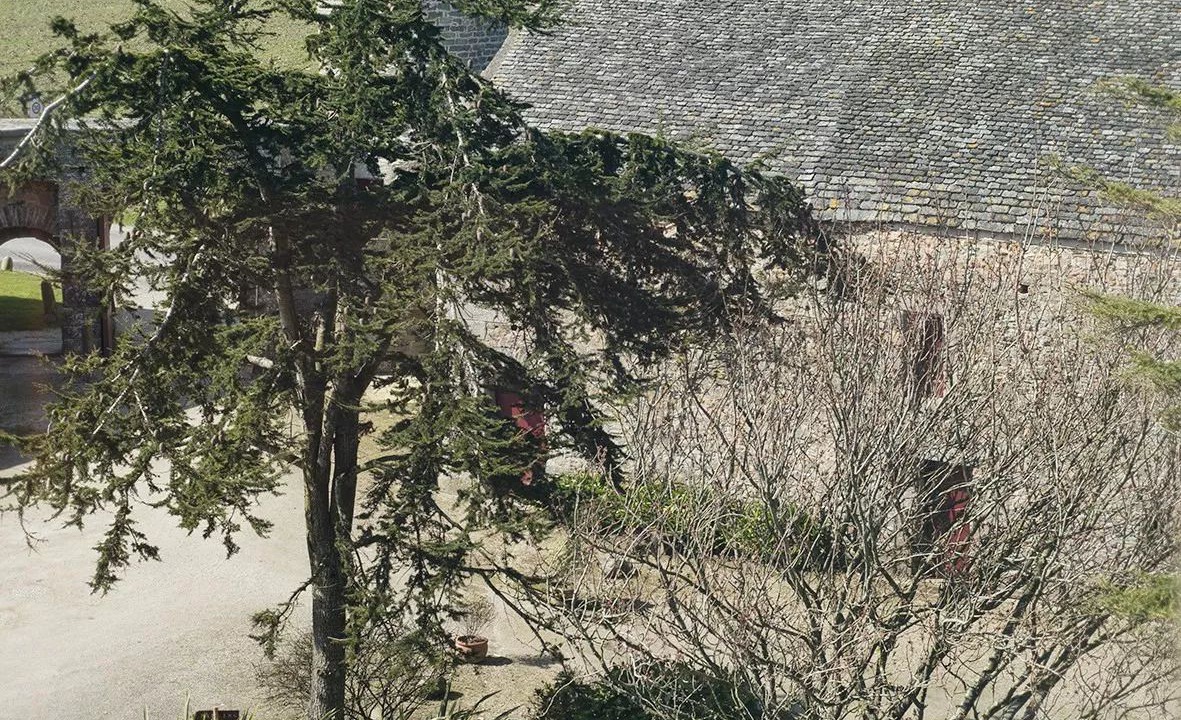 Photo of Others in Le Rozel