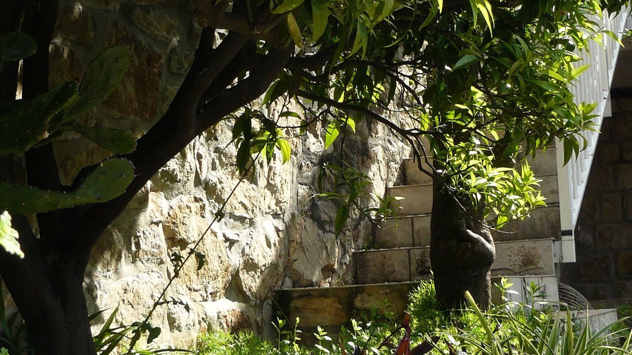 Photo of Outdoor in Sudurad